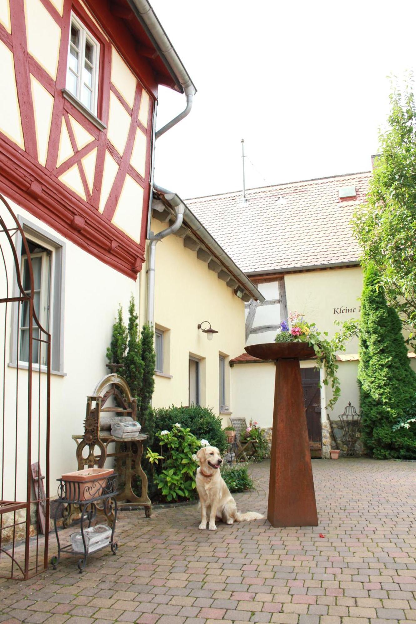 Kleine Residenz Am Schloss 美因河畔的霍赫海姆 外观 照片